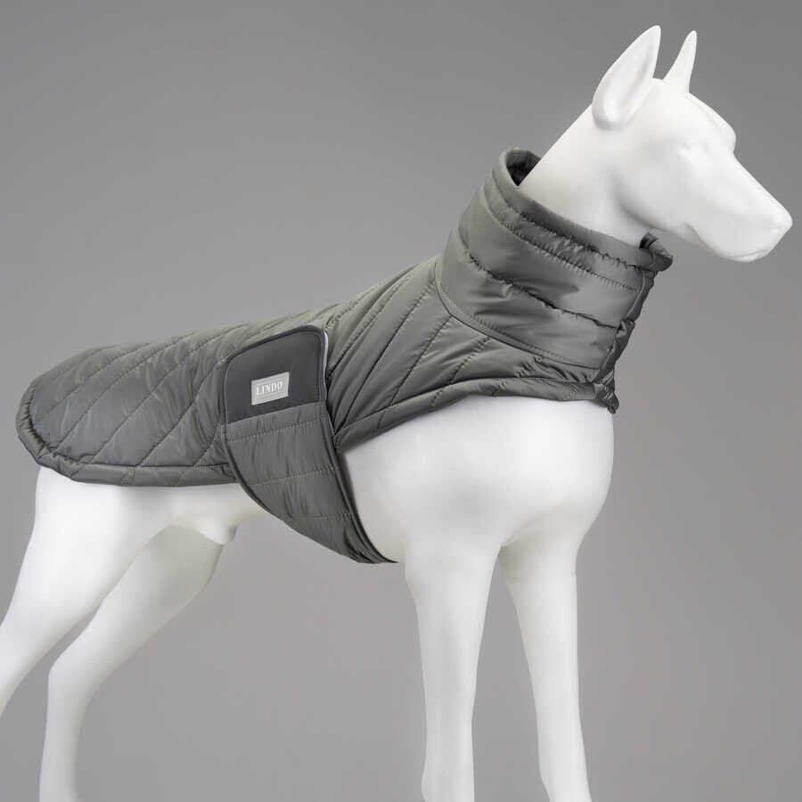 Air Puff Special Green Köpek Montu Beden :1