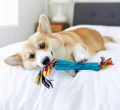 Orka Stick Çiğneme Oyuncağı