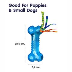 Mini Orka Bone Kaucuk Köpek Çiğneme Oyuncağı