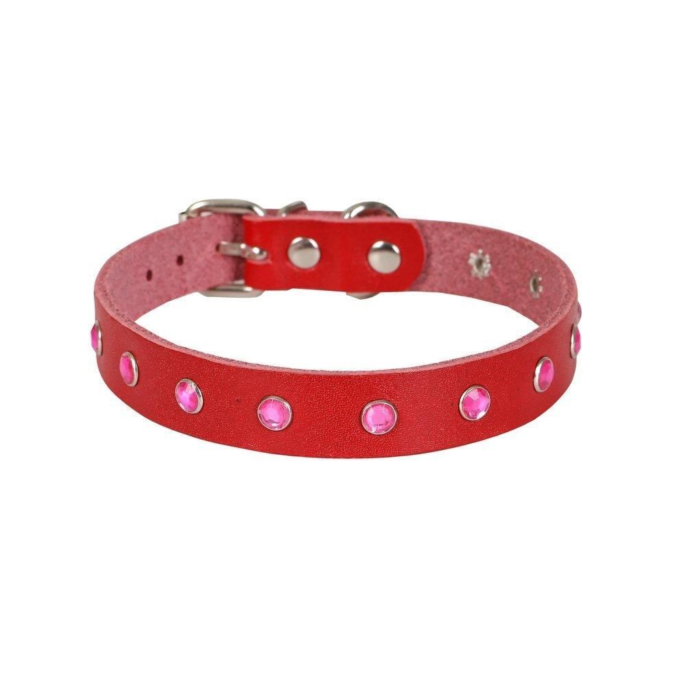 Cattie Taşlı Deri Kedi Tasması Kırmızı 1,5X26-31Cm