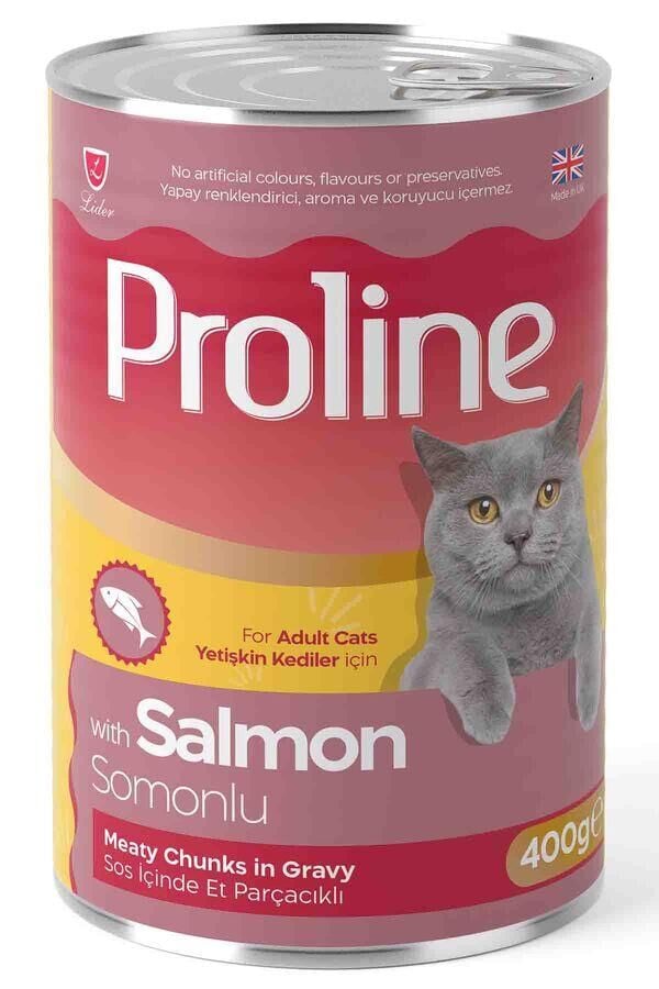 Sos İçinde Parça Somon Etli Yetişkin Kedi Konservesi 400gr