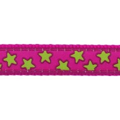 Yastıklı Yıldız Desenli Gezdirme Kayışı