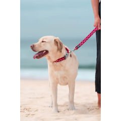 Yastıklı Yıldız Desenli Gezdirme Kayışı