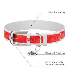 Waudog Tasarım Gerçek Deri Köpek Boyun Tasması, ''Superman1'' Deseni, 12 MM, L 18-24 CM Beyaz