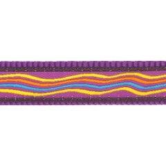 Dreamstream Desenli Köpek Boyun Tasması