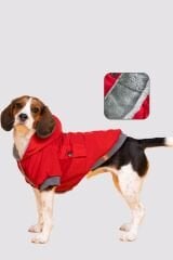 SALYA İntense Red Mont XXL