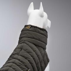 Airpuff Mango Köpek Montu