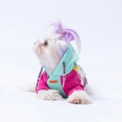 Pawstar Mint Rio Hoodie M