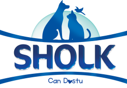 Sholk