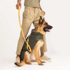 Lindodogs Softshell Army Green Köpek Yağmurluğu