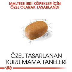 Maltese Adult Maltiz Yetişkin Köpeklerin Kuru Köpek Maması 1,5 Kg