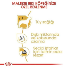 Maltese Adult Maltiz Yetişkin Köpeklerin Kuru Köpek Maması 1,5 Kg