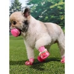 Cherry Rabbit Shoes/PINK/L KÖPEK AYAKKABISI L