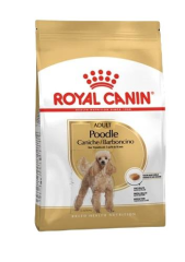 Poodle Adult Yetişkin Köpekler için Köpek Maması 3 Kg