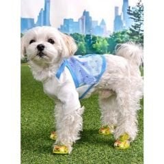 Cherry Rabbit Shoes/YELLOW/S KÖPEK AYAKKABISI S