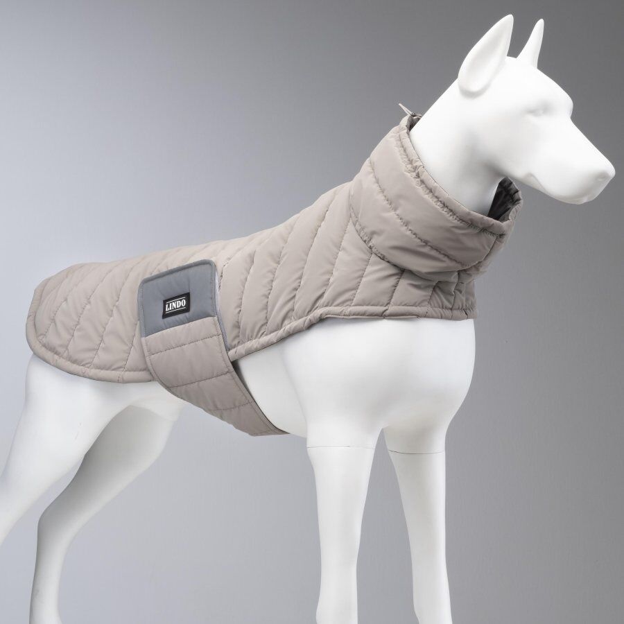Air Puff Stone Köpek Montu – Su İtici, Rüzgar Geçirmez, Göğüs Tasması Uyumlu (Beden 3)