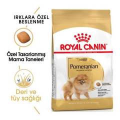 Pomeranian Adult Yetişkin Köpekler için Kuru Mama 1,5 Kg
