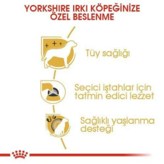 Yorkshire Terrier Adult Yetişkin Köpek Maması 1,5 Kg