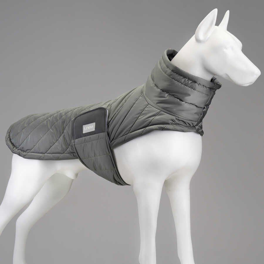 Air Puff Special Green Köpek Montu – Su İtici, Rüzgar Geçirmez, Göğüs Tasması Uyumlu (Beden 6)
