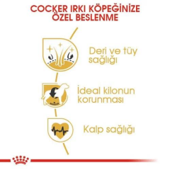 Cocker Adult Yetişkin Köpek Maması 3 Kg