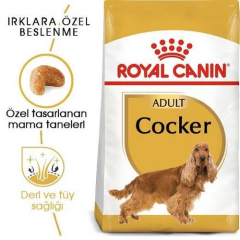 Cocker Adult Yetişkin Köpek Maması 3 Kg