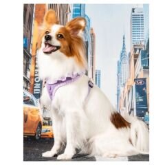 PUPPIA VIVIEN HARNESS A/VIOLET/S KÖPEK GÖĞÜS TASMASI S