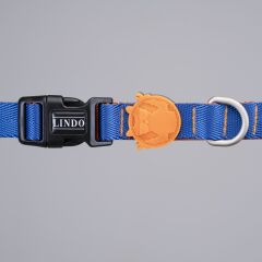 Urban Glow Blue Boyun Tasması Beden S