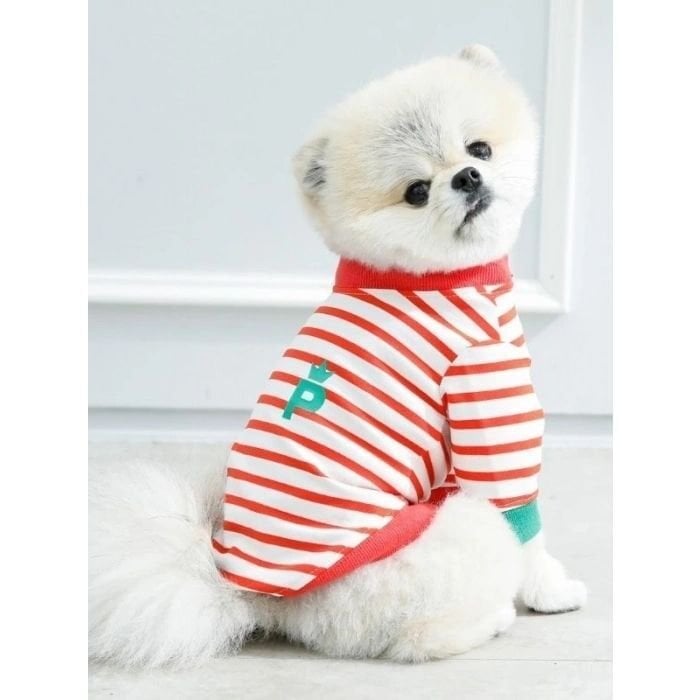 PUPPIA MATE/ORANGE RED/M KÖPEK T-SHIRT M