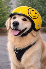 MİNİ AÇIK KASK NO4