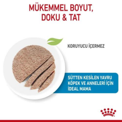 Mother and Babydog Mousse Anne ve Yavru Köpekler için Ezme Yavru Yaş Maması 195 gr