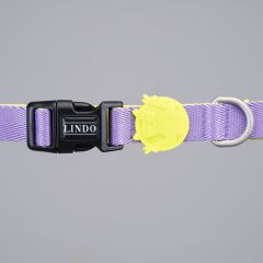 Urban Glow Purple Boyun Tasması Beden S