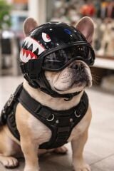 MİNİ AÇIK KASK NO5 KÖPEK KASKI