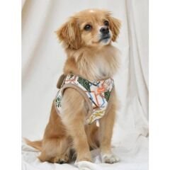PUPPIA BOTANICAL HARNESS B/BEIGE/XL KÖPEK GÖĞÜS TASMASI XL