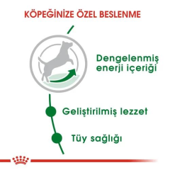 Mini Adult Küçük Irklar için Yetişkin Köpek Maması 4 Kg