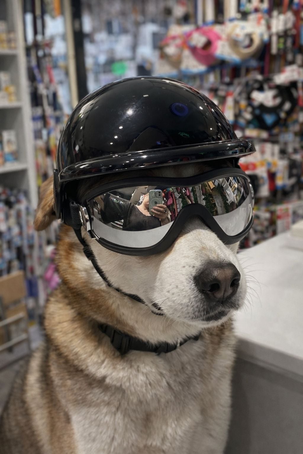 MİNİ AÇIK KASK GÖZLÜKLÜ TAKIM SİYAH(MEDIUM)