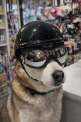 MİNİ AÇIK KASK GÖZLÜKLÜ TAKIM SİYAH(MEDIUM)