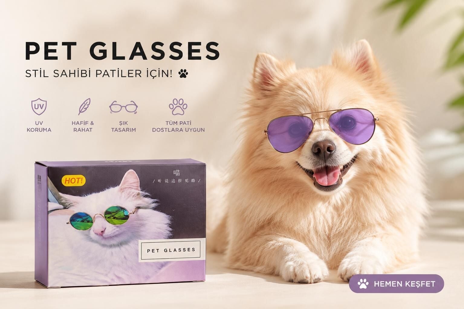 KEDİ KÖPEK GÖZLÜK