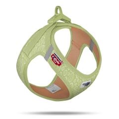 Vest Harness Air-Mesh Special Edition 2024 - Guacamole