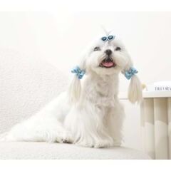 60900399 M-PETS GLAM KÖPEKLER İÇİN AKSESUAR TOKA BLUE