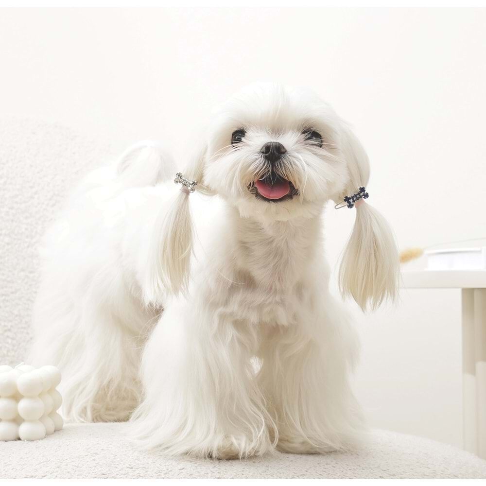 60901399 M-PETS GLAM KÖPEKLER İÇİN AKSESUAR TOKA BLUE/WHİTE