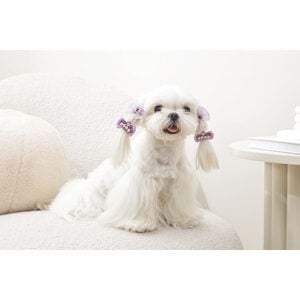 60900499 M-PETS GLAM KÖPEKLER İÇİN AKSESUAR TOKA PURPLE