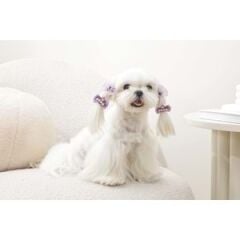60900499 M-PETS GLAM KÖPEKLER İÇİN AKSESUAR TOKA PURPLE