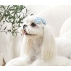 60902499 M-PETS GLAM KÖPEKLER İÇİN AKSESUAR TOKA BLUE