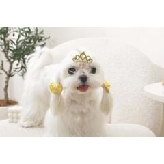 60900199 M-PETS GLAM KÖPEKLER İÇİN AKSESUAR TOKA YELLOW