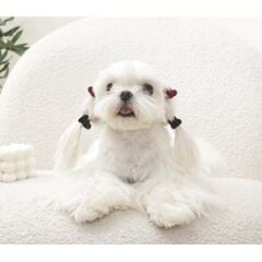 60901199 M-PETS GLAM KÖPEKLER İÇİN AKSESUAR TOKA BLACK/RED