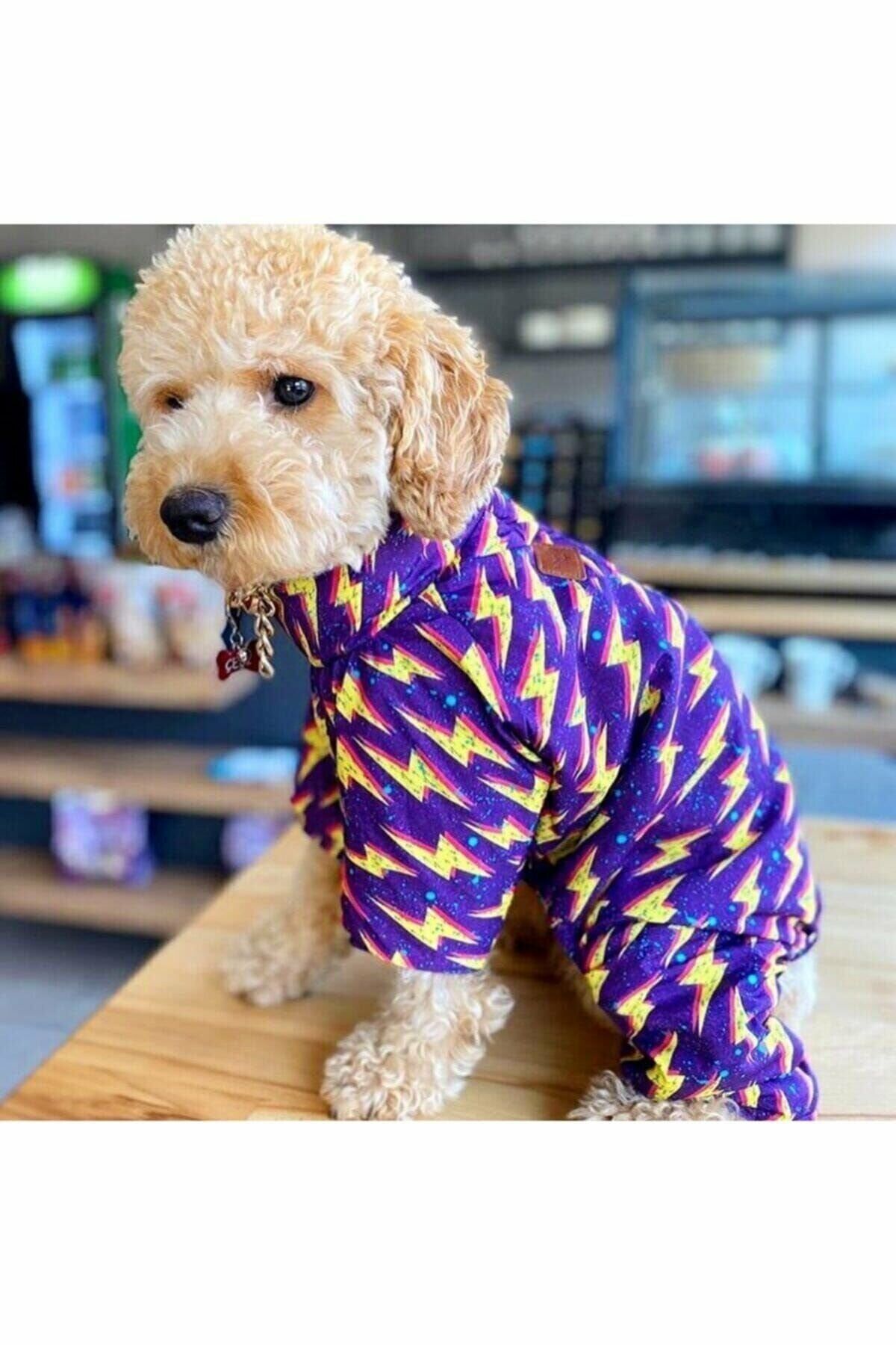 Alphadog Thunder İçİ Polarlı Köpek Tulumu (No:6)