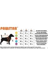 PAWSTAR CAMEL KÖPEK SALOPET XL