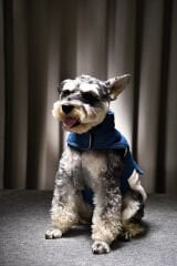 PETLUXE DENIM POLARLI KÖPEK KIYAFETİ M
