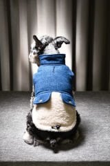 PETLUXE DENIM POLARLI KÖPEK KIYAFETİ S