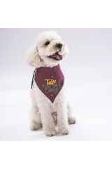 Pawstar Burgundy Take It Easy Kedi Köpek Fuları Pet Bandanası